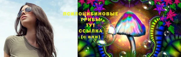 соль ск Верея