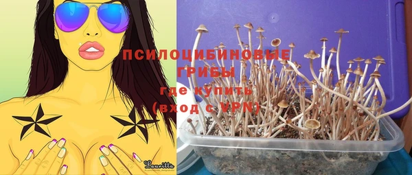 соль ск Верея
