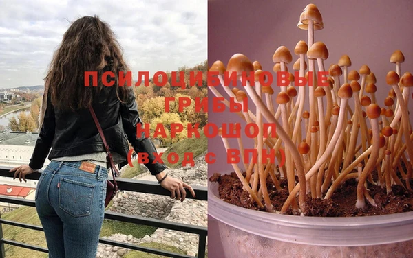 соль ск Верея