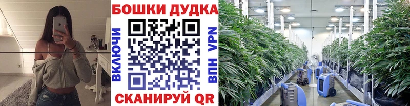 это официальный сайт Семилуки Конопля Ganja